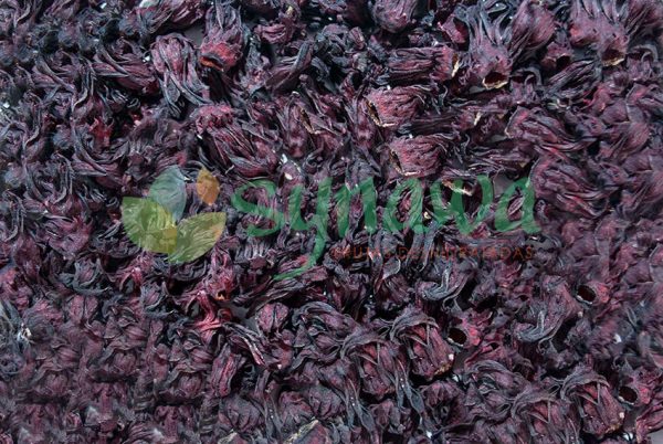 Flor de Jamaica - Imagen 4