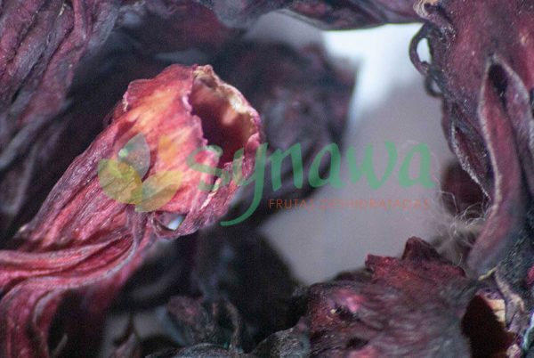 Flor de Jamaica - Imagen 3